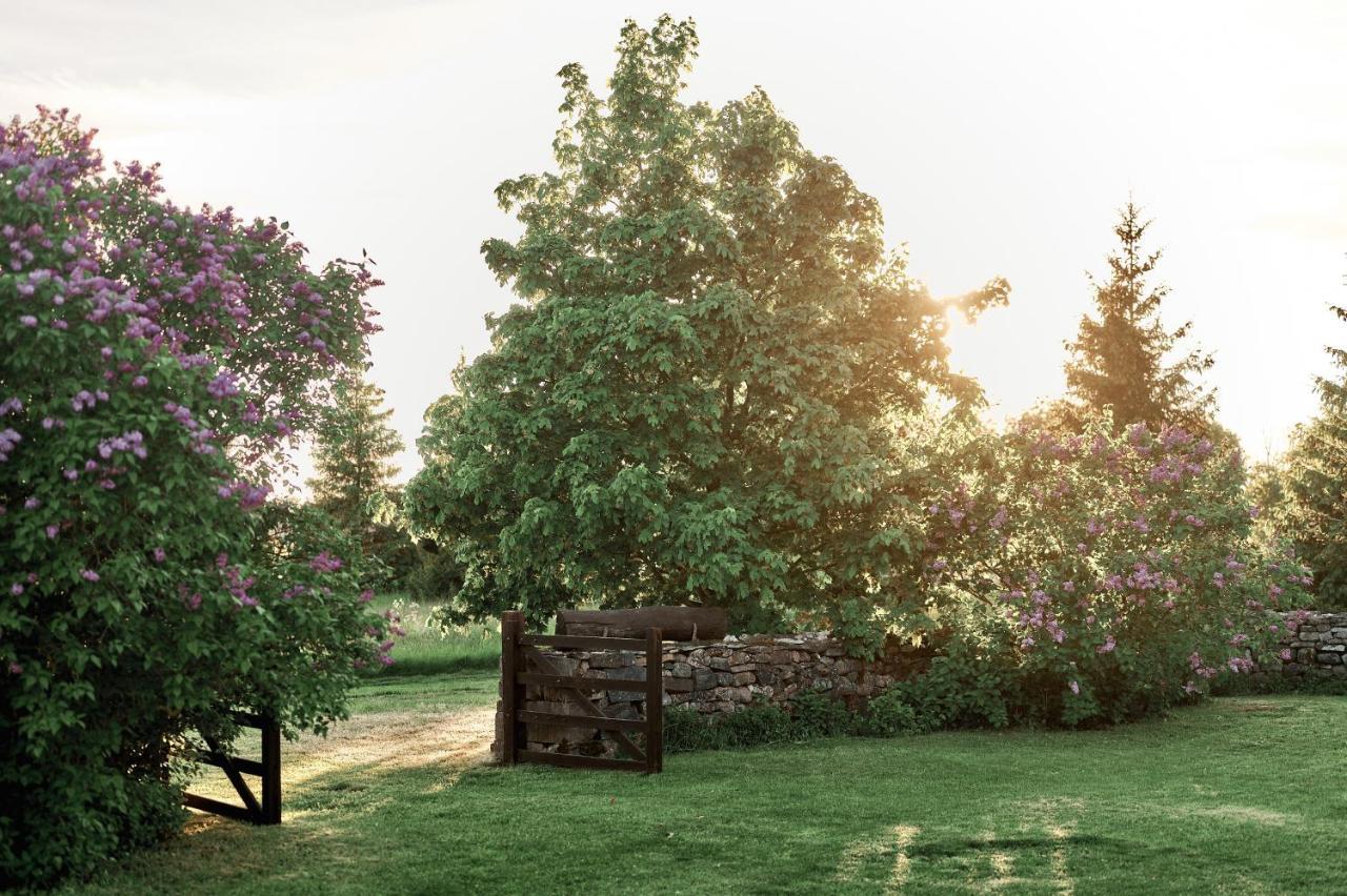 Matsi Cottage Igaküla 외부 사진
