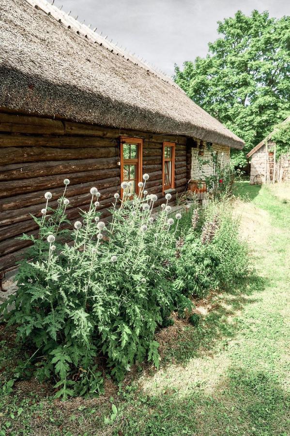 Matsi Cottage Igaküla 외부 사진