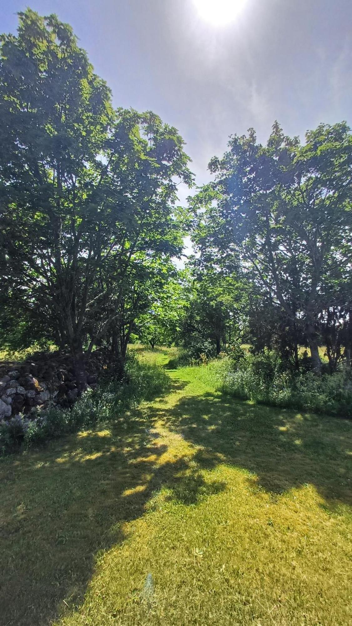 Matsi Cottage Igaküla 외부 사진
